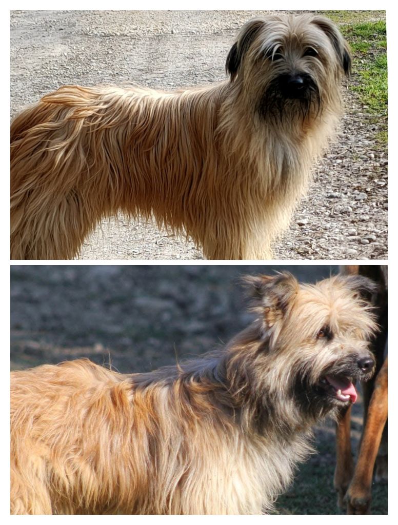 Portée prévu mi-Novembre 2025